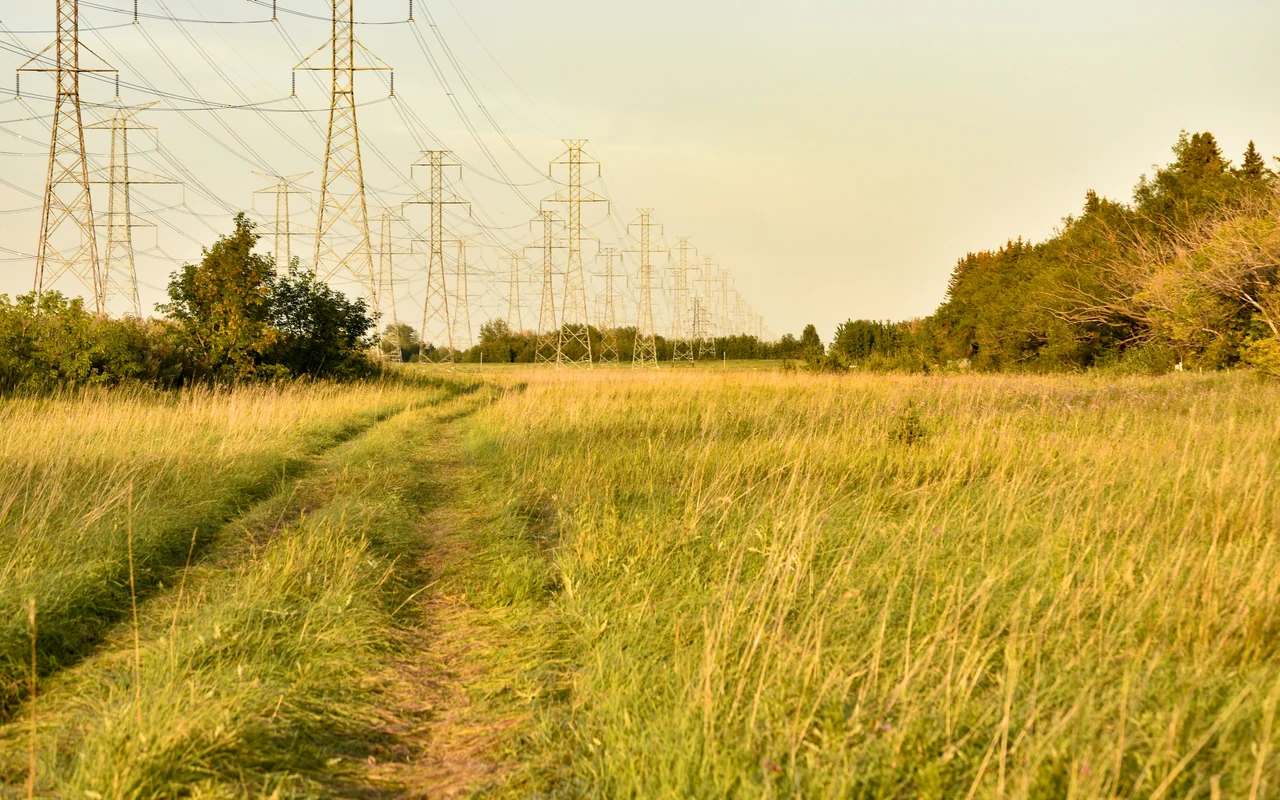 Polna ścieżka przez łąkę, nad nią linia energetyczna